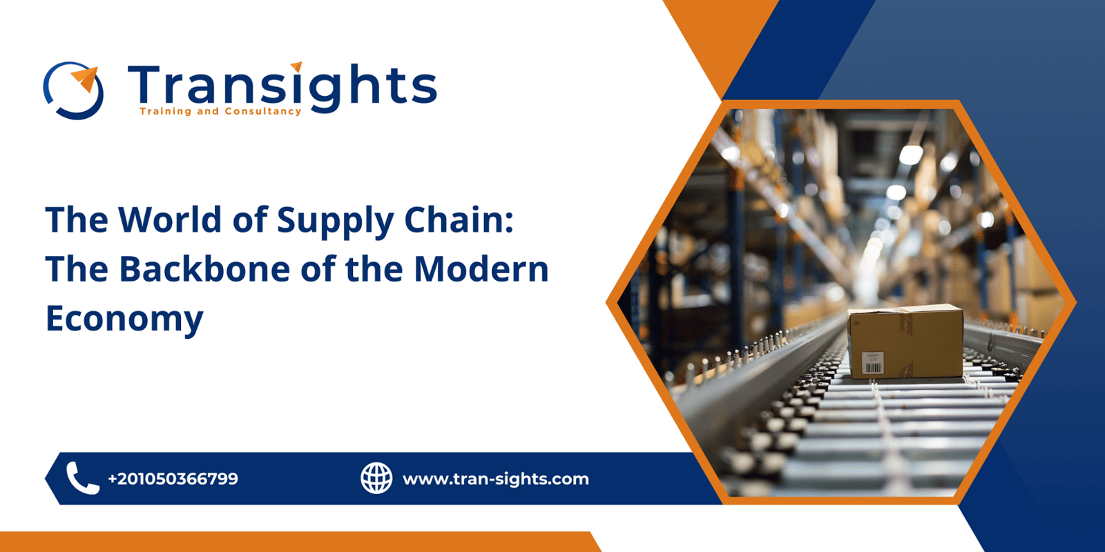 The World of Supply Chain: The Backbone of the Modern Economy