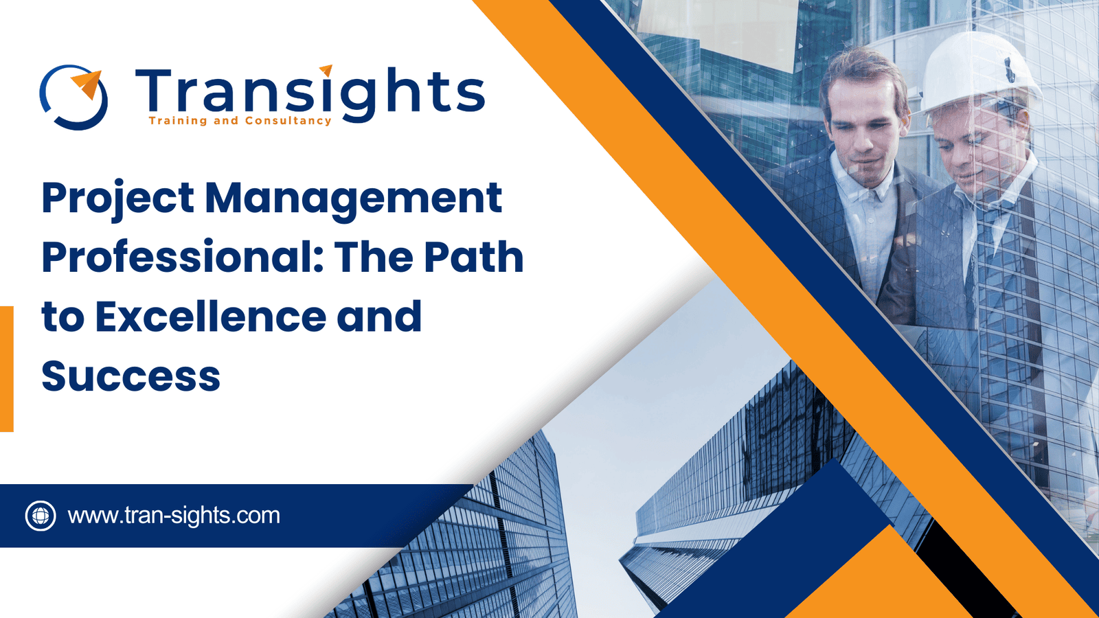 Project Management Professional: The Path to Excellence and Success