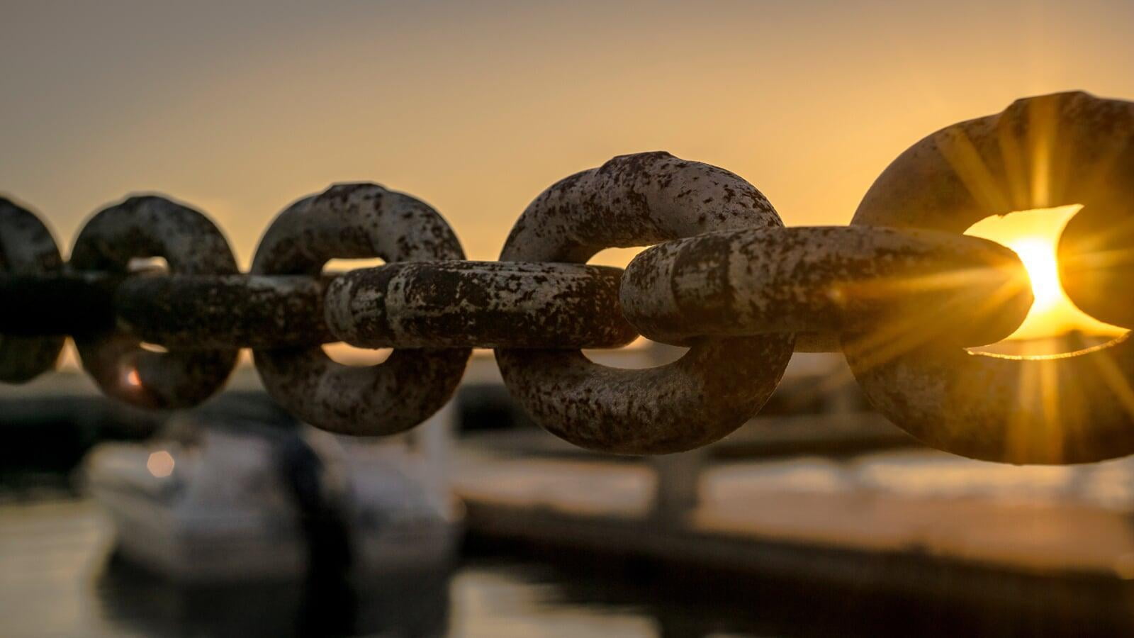 Want To Optimize Your Supply Chain? ​Check Out These Cutting-Edge Strategies Used By The Largest Supply Chain Companies.